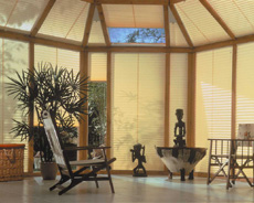 Pleated Blinds